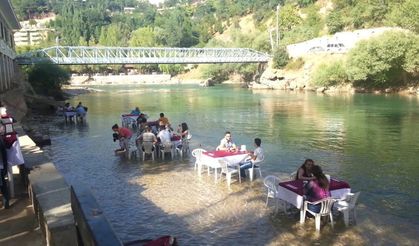 Diyarbakır’dan tur gezisiyle Tunceli’ye gittiler: Bin pişman oldular!