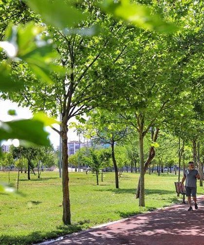 Diyarbakır’da park ve kavşaklar artık böyle olacak: 2 milyon Çin…