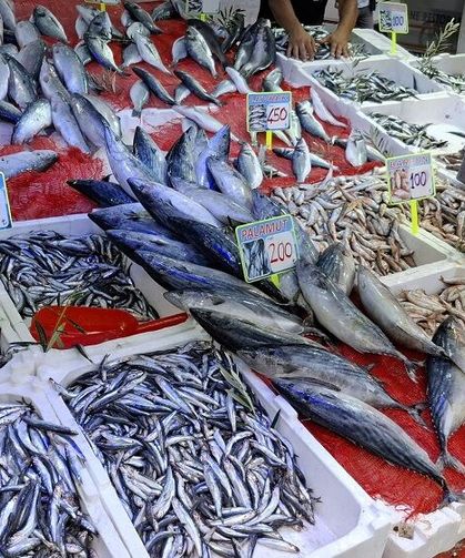 Hamsi, palamut yerini ona bıraktı: Kilosu 350 TL