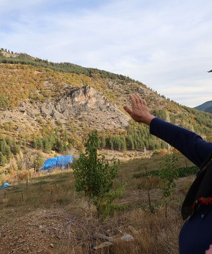 37 yıl önce köylüler dikti: Şimdi ise ormana döndü!