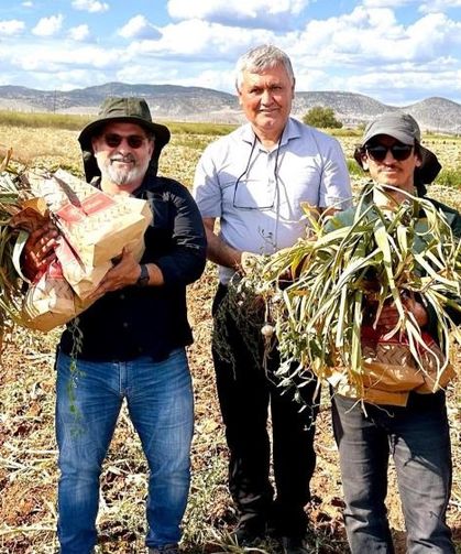 Diyarbakır’daki sarımsaklar Karabük’te inceleniyor!