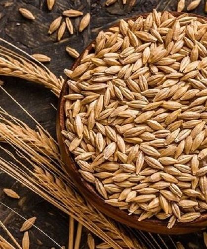 Diyarbakır’da kuraklık kapıya dayandı: TMO’dan açıklama