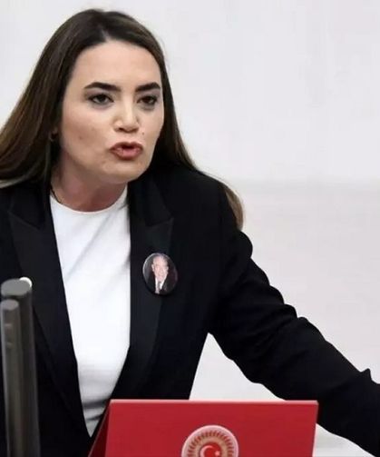 Meclis’te “Öcalan serbest bırakılsın” talebine Türkeş’ten sert yanıt