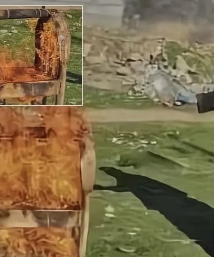 6 çocuk büyüttüğü beşiği yaktı: Nedeni ortaya çıktı!