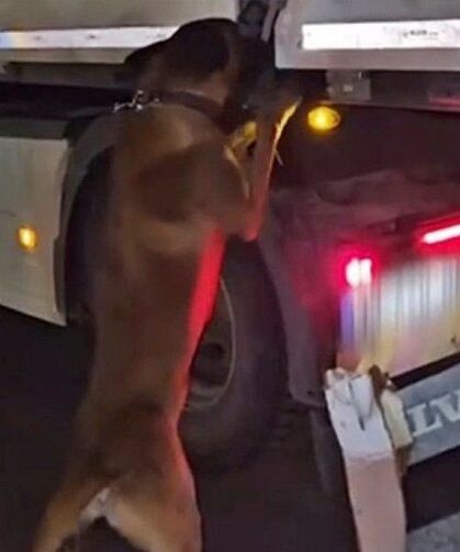 Diyarbakır'da takibe alınan TIR’da yakalandı