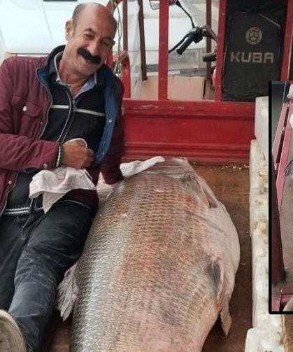 Diyarbakır'da yakaladılar: Görenler şaşkına döndü