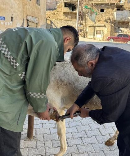 Diyarbakırlı 2 kardeş 50 yıldır nalbantlık ve semercilik yapıyor