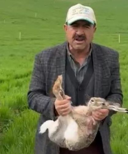 Diyarbakırlı çiftçi tarlada kurtardı: Avcılara seslendi