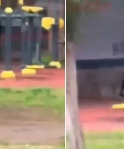 Parkta uygunsuz hareketler sergilediler: Tepki geldi