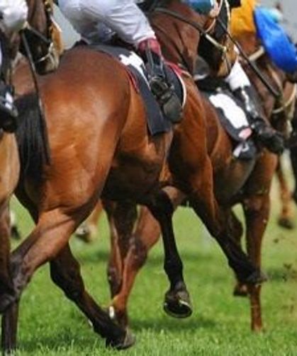 Yarış atı kavurma yapılmıştı: Bakın ne kadara satmışlar!