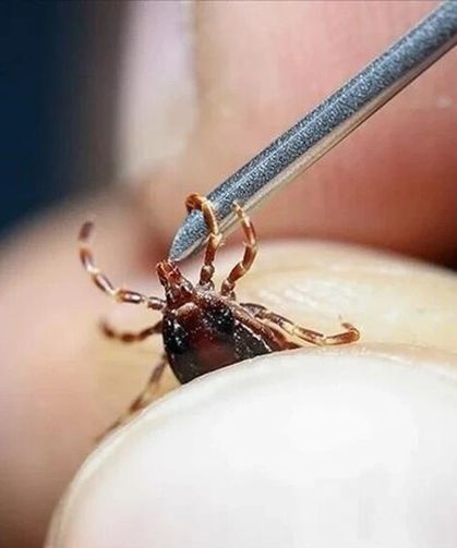 Bahar aylarının gizli tehlikesi ortaya çıktı: 21 yaşındaki gençten acı haber!