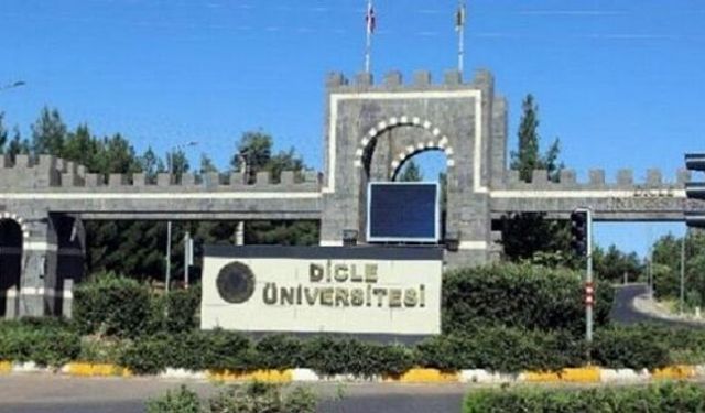 DİCLE ÜNİVERSİTESİ