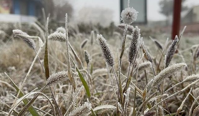 Meteoroloji uyardı: Diyarbakır’da çiftçiler bu tarihe dikkat!