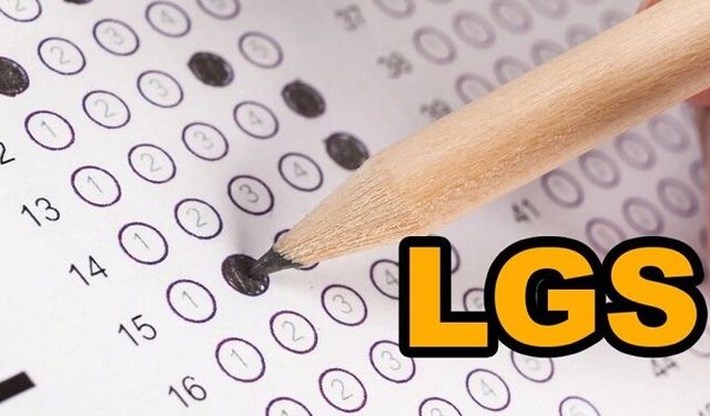 LGS sonuçları açıklandı: Sorgu ekranı açıldı, tercihler ne zaman?