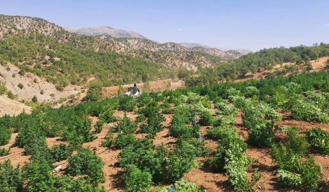 Diyarbakır’da milyonlarca uyuşturucu ele geçirildi: 8 gözaltı