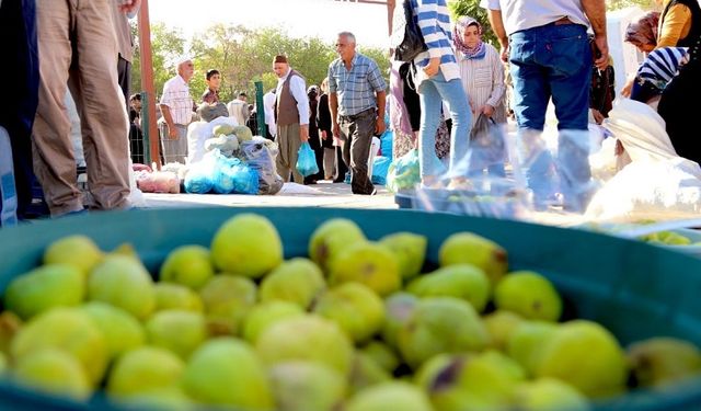 Diyarbakır’ın o ilçesinde ‘Köy Pazarı’ açıldı