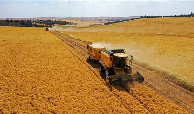 Diyarbakır’da çiftçilere müjde: Milyonlarca lira ödenecek