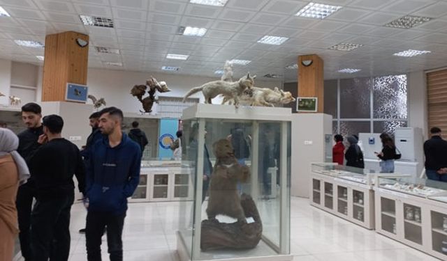 Diyarbakır’da öğretmen adayları Zooloji Müzesi’ni gezdi