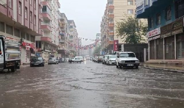 Diyarbakır’da sel: Çok sayıda hayvan öldü