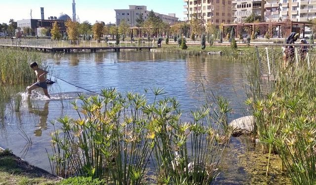 Diyarbakır’daki o havuzda büyük tehlike!