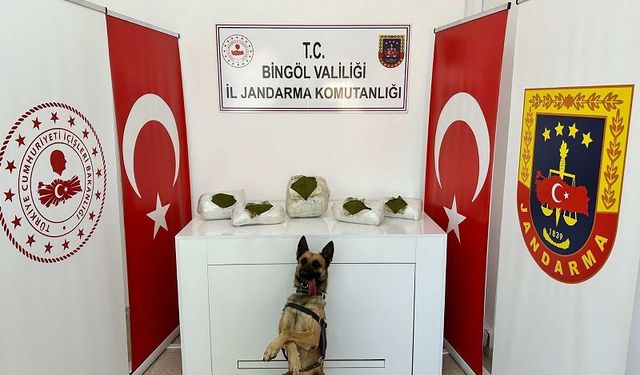 Bingöl'de arazi taraması sonrası bakın ne çıktı