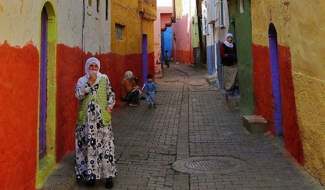 Diyarbakır’a asırlık miraslar: Kapı tokmakları ne anlatıyor?