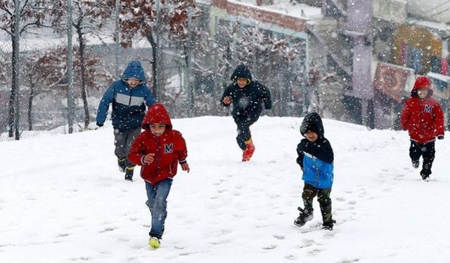Diyarbakır’da iki ilçede daha okullar tatil edildi