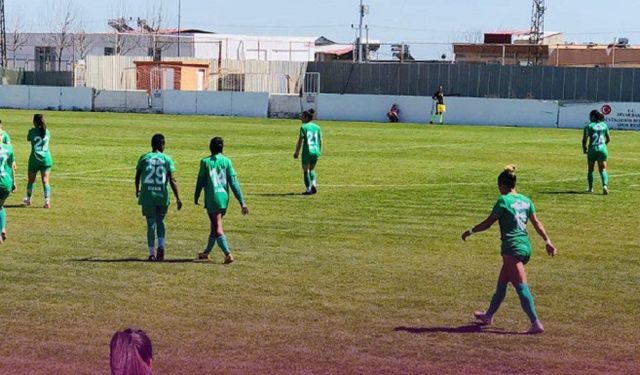 AMEDSPOR
