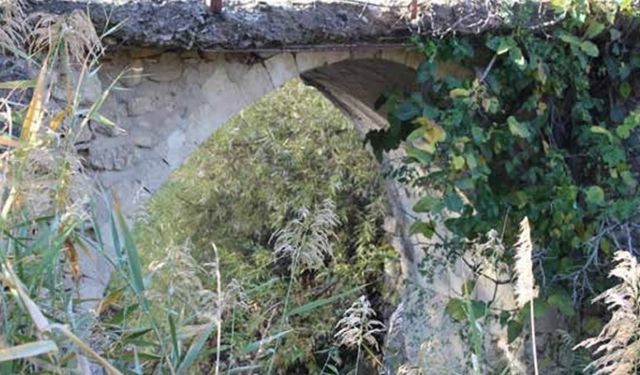 Diyarbakır’daki tarihi Taş Köprü onarılmayı bekliyor