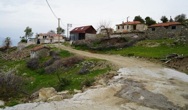 Diyarbakır’da köye takıldı! Köylüler şaştı kaldı