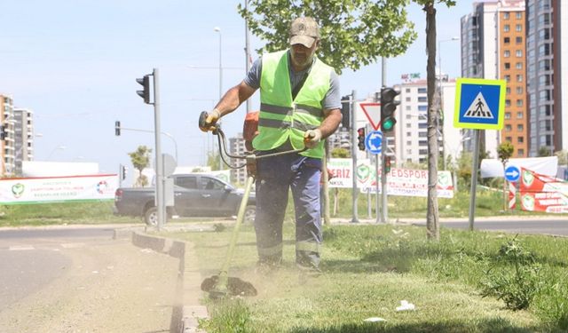 Diyarbakır’da belediyeden yeşillendirme çalışması
