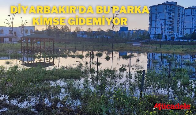 Diyarbakır'daki bu parka kimse gidemiyor