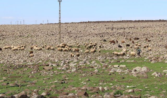 ‘Burası Mars değil Karacadağ’: Görüntüler dikkat çekti!
