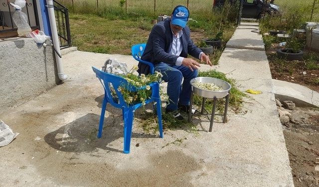 Diyarbakır kışa hazırlanıyor: Bitkiler kurutuluyor