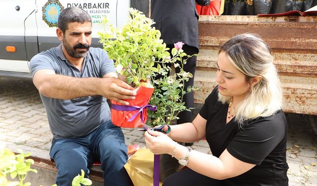 Diyarbakır’da çiftçilere ücretsiz bitki dağıtımı