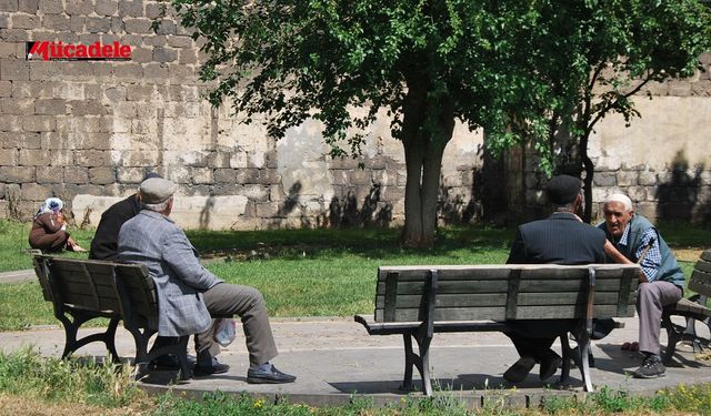 Diyarbakır nüfusunun yüzde kaçı emekli?