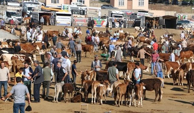 Diyarbakır’da kurban kesimi ve satış yerleri belli oldu!