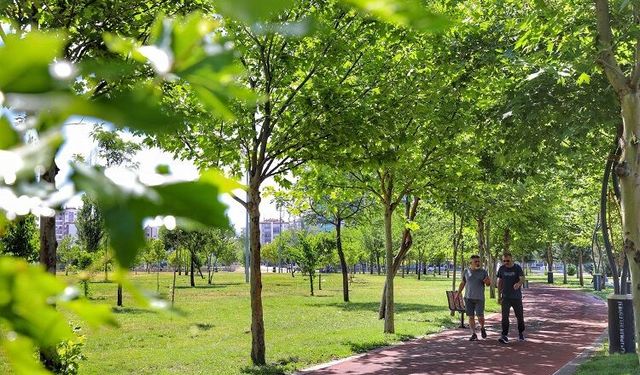 Diyarbakır’da park ve kavşaklar artık böyle olacak: 2 milyon Çin…