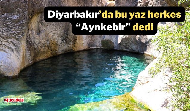 Diyarbakır’da bu yaz herkes “Aynkebir” dedi