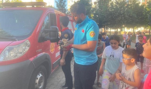 Diyarbakır’da ekipler yavru kedi için harekete geçti