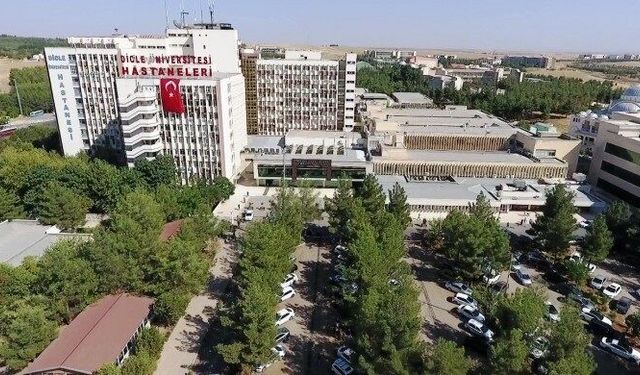 DİCLE ÜNİVERSİTESİ