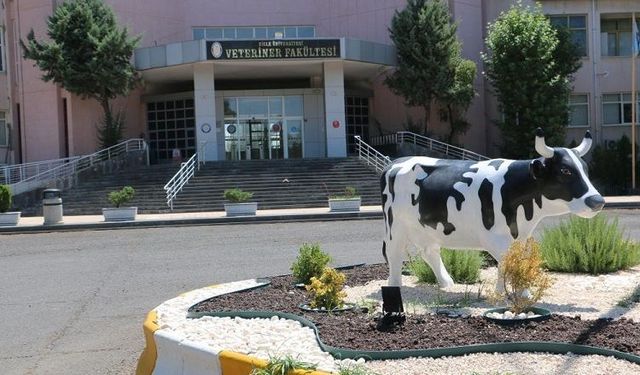 DİCLE ÜNİVERSİTESİ