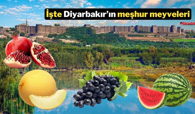 MÜCADELE ARŞİV