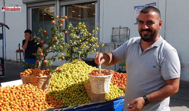 DİYARBAKIR