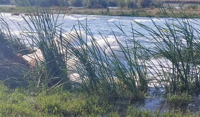 Dicle Nehri’nde inceleme bitti: Beyaz köpüğün sebebi belli oldu