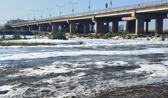 Diyarbakır Dicle Nehri’nde “beyaz köpük” alarmı!