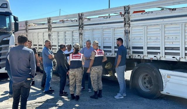 Diyarbakır’da jandarmaya takıldılar! 384 hayvana el konuldu