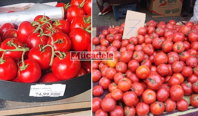 Diyarbakır’da tezgâh fiyatı 7 lira, markette 75 lira!