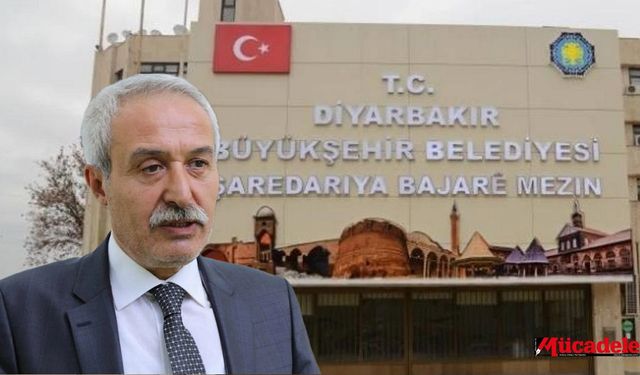 POLİTİKA