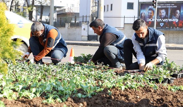 Diyarbakır 1 milyon çiçekle renklenecek! Bağlar’da başladı